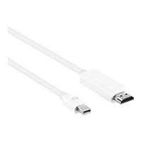 Axiom adapter cable - DisplayPort / HDMI - 4.57 m
