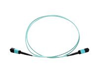 Axiom network cable - 25 m - 25 m - aqua