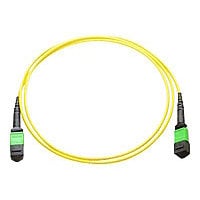 Axiom network cable - 25 m - yellow