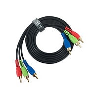 Axiom video cable - component video - 1.83 m