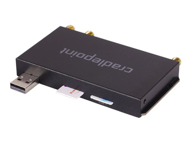 CRADLEPOINT LTE ADV CAT6 MODEM