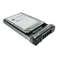 Axiom Enterprise - hard drive - 10 TB - SAS 12Gb/s