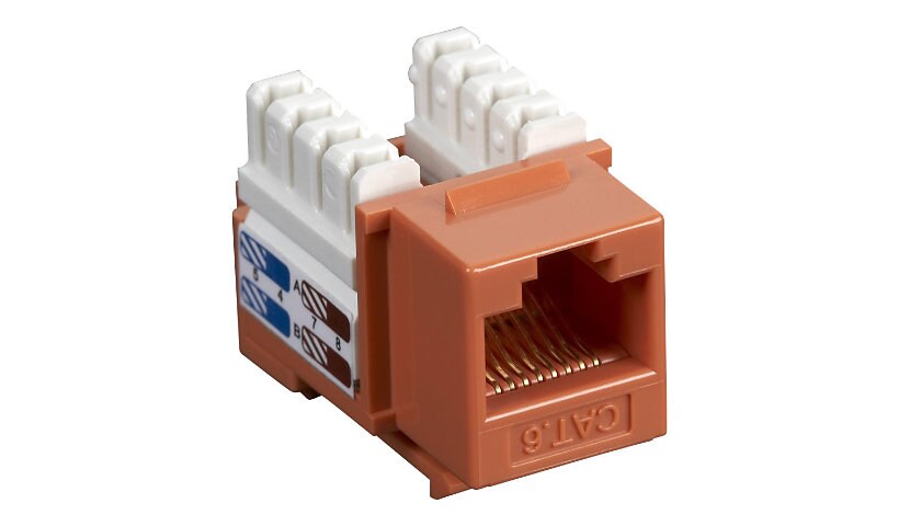 Black Box Value Line CAT6 - modular insert