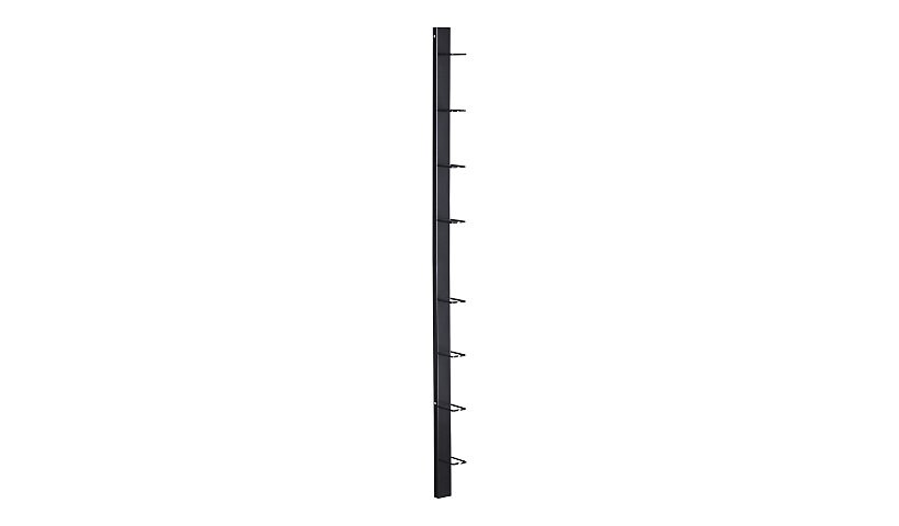 Black Box Vertical Organizer - cable organizer