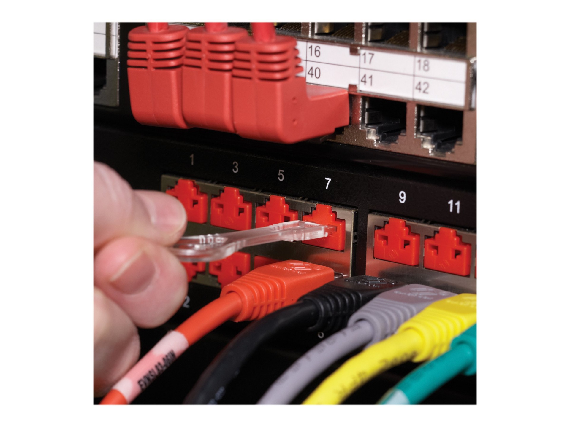 Black Box LockPORT Secure Port Lock - outlet port lock kit - TAA Compliant