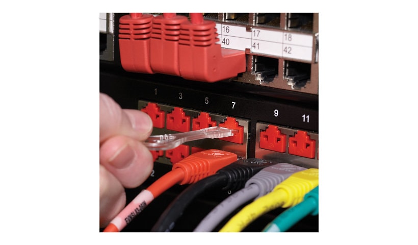 Black Box LockPORT Secure Port Lock - outlet port lock kit - TAA Compliant