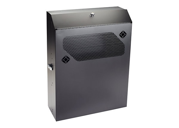 Black Box Low-Profile Vertical Wallmount Cabinet 36"D Equipment - rack - 4U