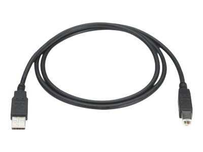 Black Box - câble USB - USB pour USB type B - 3.05 m