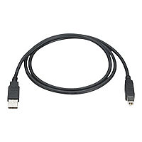 Black Box - USB cable - USB to USB Type B - 3.05 m