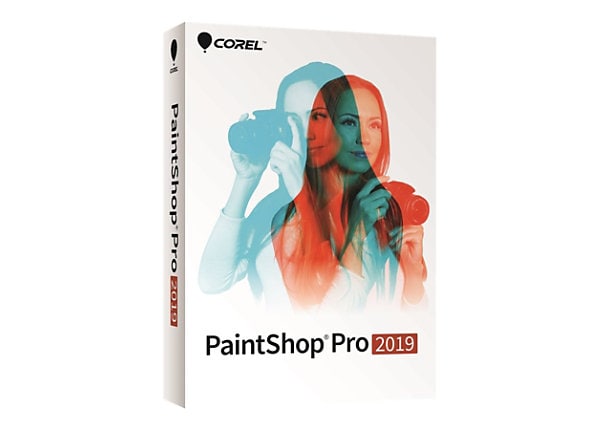 COREL PAINTSHOP PRO 2019 MINI-BOX