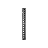 Panduit PatchRunner 2 - rack cable management panel (vertical) - 42U