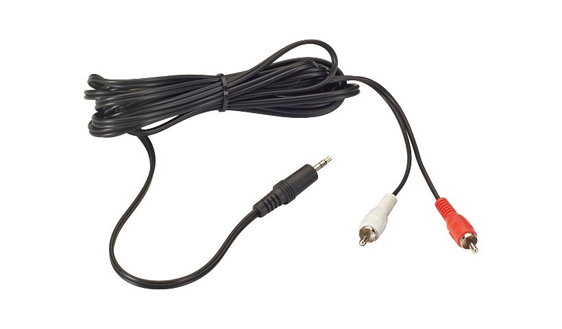 Black Box audio cable - 12 ft