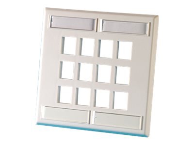 Ortronics TechChoice faceplate