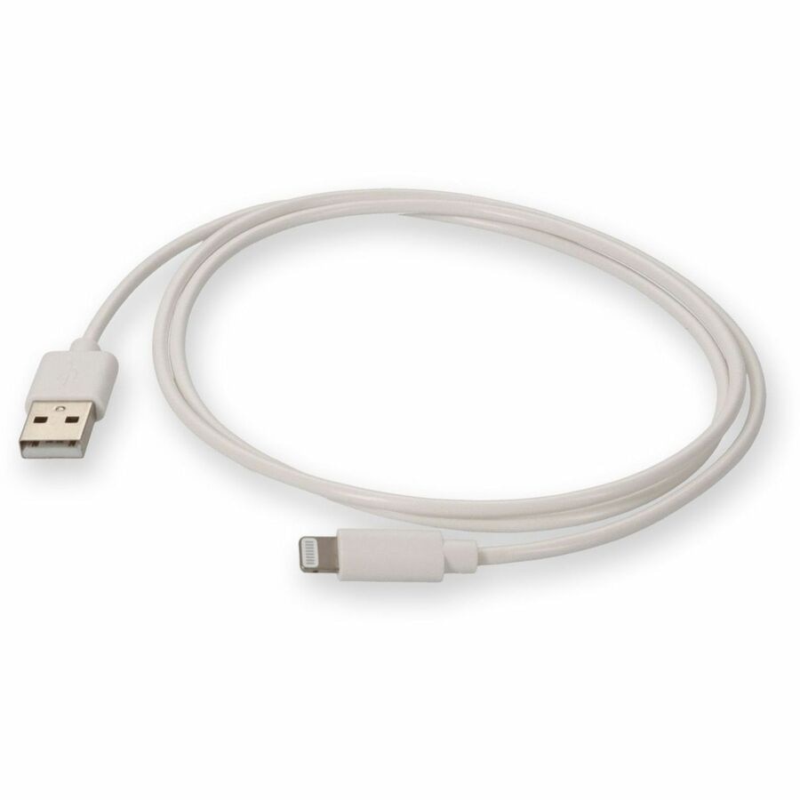 Proline USB A 2.0 Male to Lightning White Cable