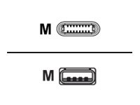 Proline Lightning cable - Lightning / USB 2.0 - 6 ft