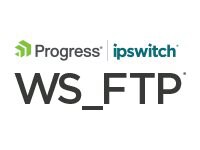 WS_FTP Professional (v. 12,4) - Site License + 1 Year Service Agreement - 1 additional license