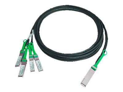 Amphenol ICC High Speed IO 100GBase direct attach cable - 10 ft