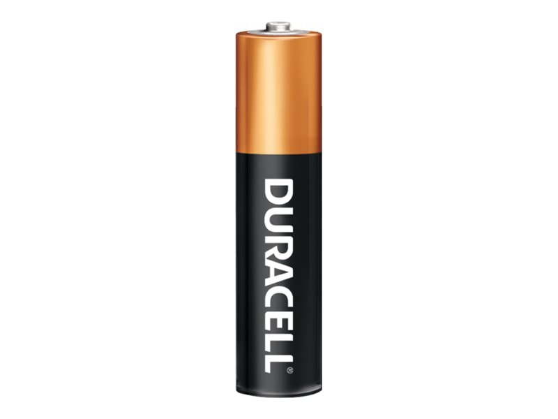 Duracell Coppertop AAA Standard Alkaline Battery - 36 Pack