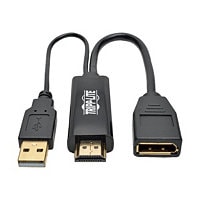 Tripp Lite HDMI to DisplayPort Active Converter 4Kx2K w/ USB Power M/F 6in