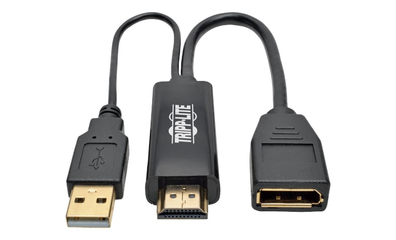 Tripp Lite HDMI to DisplayPort Active Converter 4K with USB Power, HDMI to  DisplayPort (M/F), 4096 x 2160/4K x 2K @ 30
