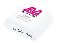 Lava SimulCharge 2x USB/Ethernet Adapter with Battery Modulation