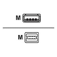 Cisco Console Cable - USB cable - USB to mini-USB Type B - 6 ft