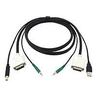 Black Box - video / USB / audio cable - 6 ft