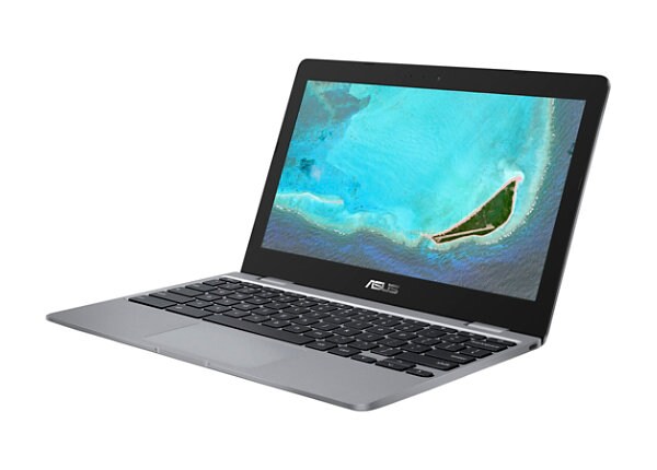 ASUS Chromebook 12 C223NA-DH02 - 11.6" - Celeron N3350 - 4 GB RAM - 32 GB SSD