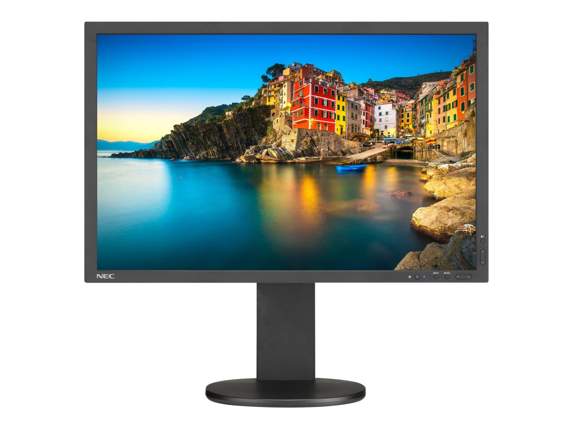NEC MultiSync P243W-BK - LED monitor - 24"
