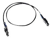 Promise SAS external cable - 3.3 ft