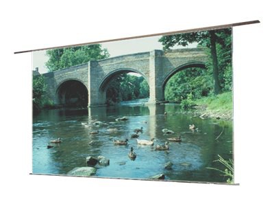 Draper Ultimate Access/Series E - projection screen - 165 in (165 in)