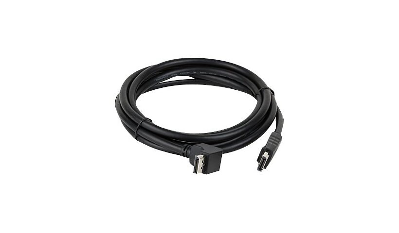 NEC DisplayPort cable - 2 m