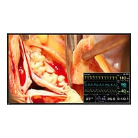 EIZO CuratOR LX491W-BK - LED monitor - Full HD (1080p) - color - 48.5"