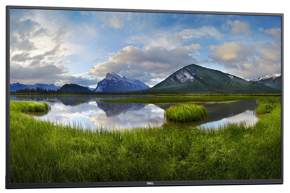 Dell C5519Q 55" Class (54.6" viewable) LED-backlit LCD display - 4K - for conference