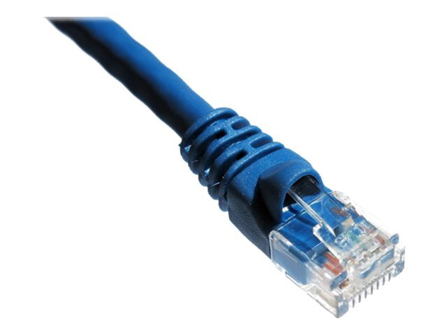 Axiom patch cable - 1 ft - blue