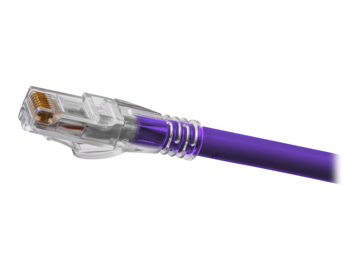 Hubbell NEXTSPEED AsCent - patch cable - 3 ft - purple