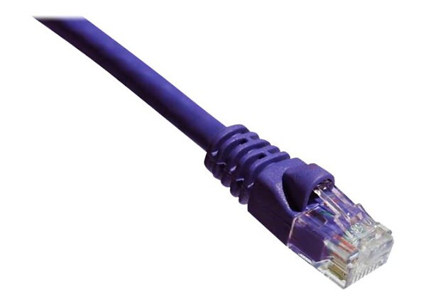 AXIOM 4FT CAT6A 650MHZ MOLDED  PURP