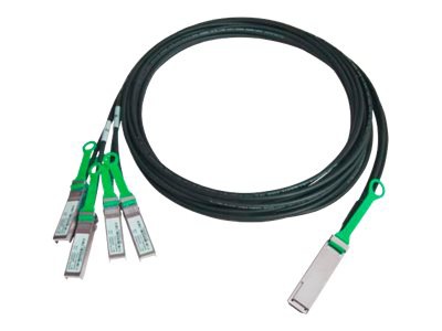 Amphenol ICC High Speed IO 100GBase direct attach cable - 6.6 ft