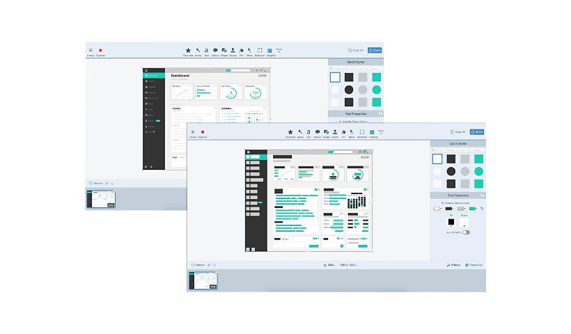 Snagit 2019 - licence - 1 utilisateur