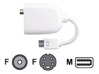 Apple Mini-DVI to Video Adapter