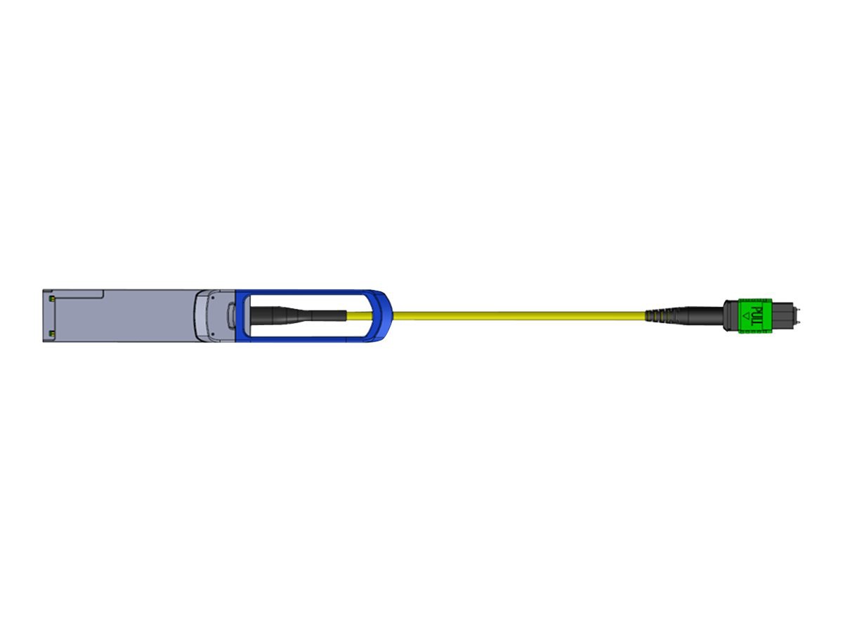 Extreme Networks - QSFP28 transceiver module - 100GbE