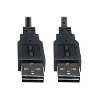 Eaton Tripp Lite Series Universal Reversible USB 2.0 Cable (Reversible A to Reversible A M/M), 10 ft. (3.05 m) - USB