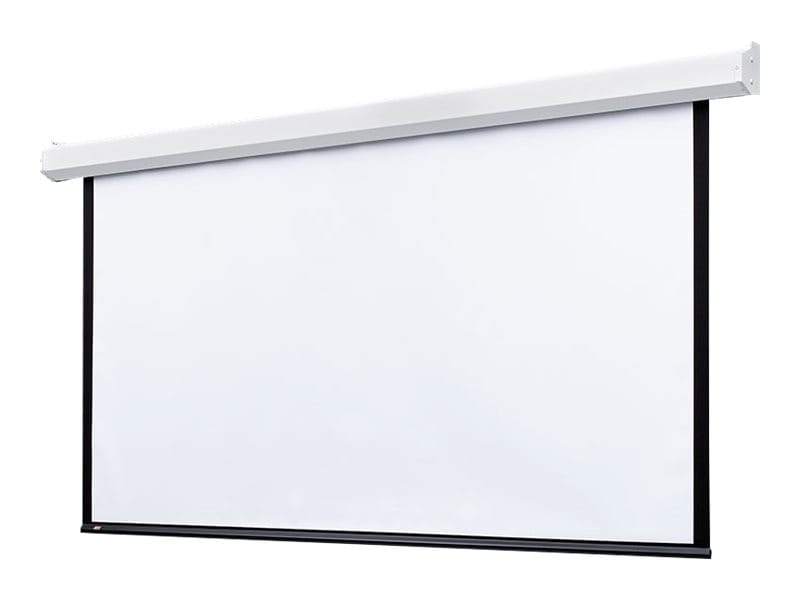 Draper Targa 123" Projection Screen