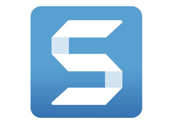 Snagit 2019 - license and media - 1 user