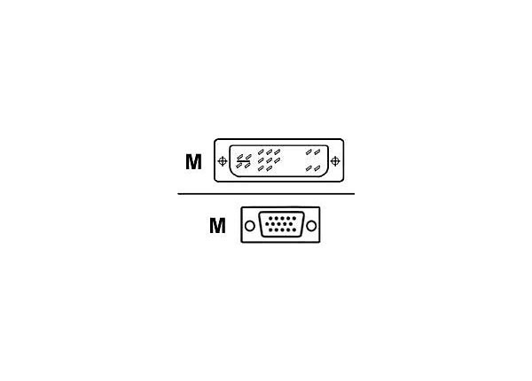 APC 6.6' DVI Analog to VGA Cable, DVI Male to HD15 Male