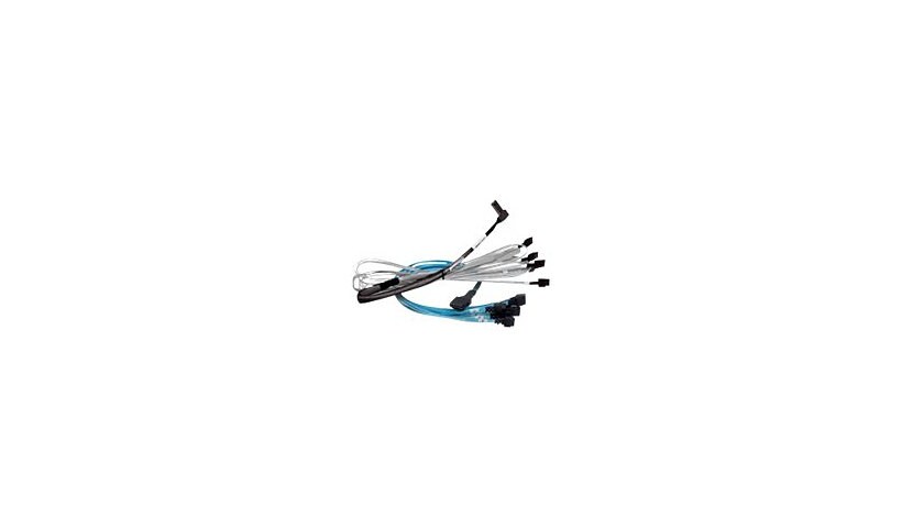 Broadcom U.2 Enabler - SAS internal cable - 1 m