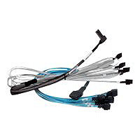 Broadcom U.2 Enabler - câble interne SAS - 1 m