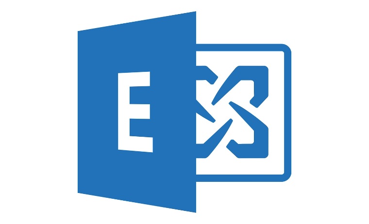 Microsoft Exchange Server 2019 Standard - license - 1 server - 312