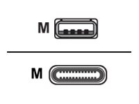 Huddly - câble USB - USB type A pour USB-C - 2 m