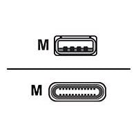 Huddly - câble USB - USB type A pour USB-C - 2 m